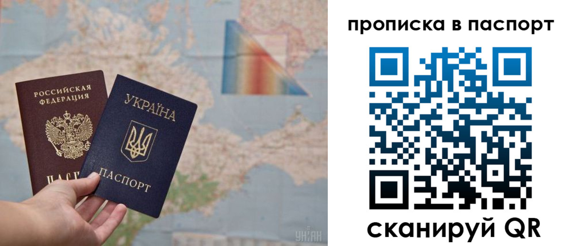 прописка поиск в Новочеркасске